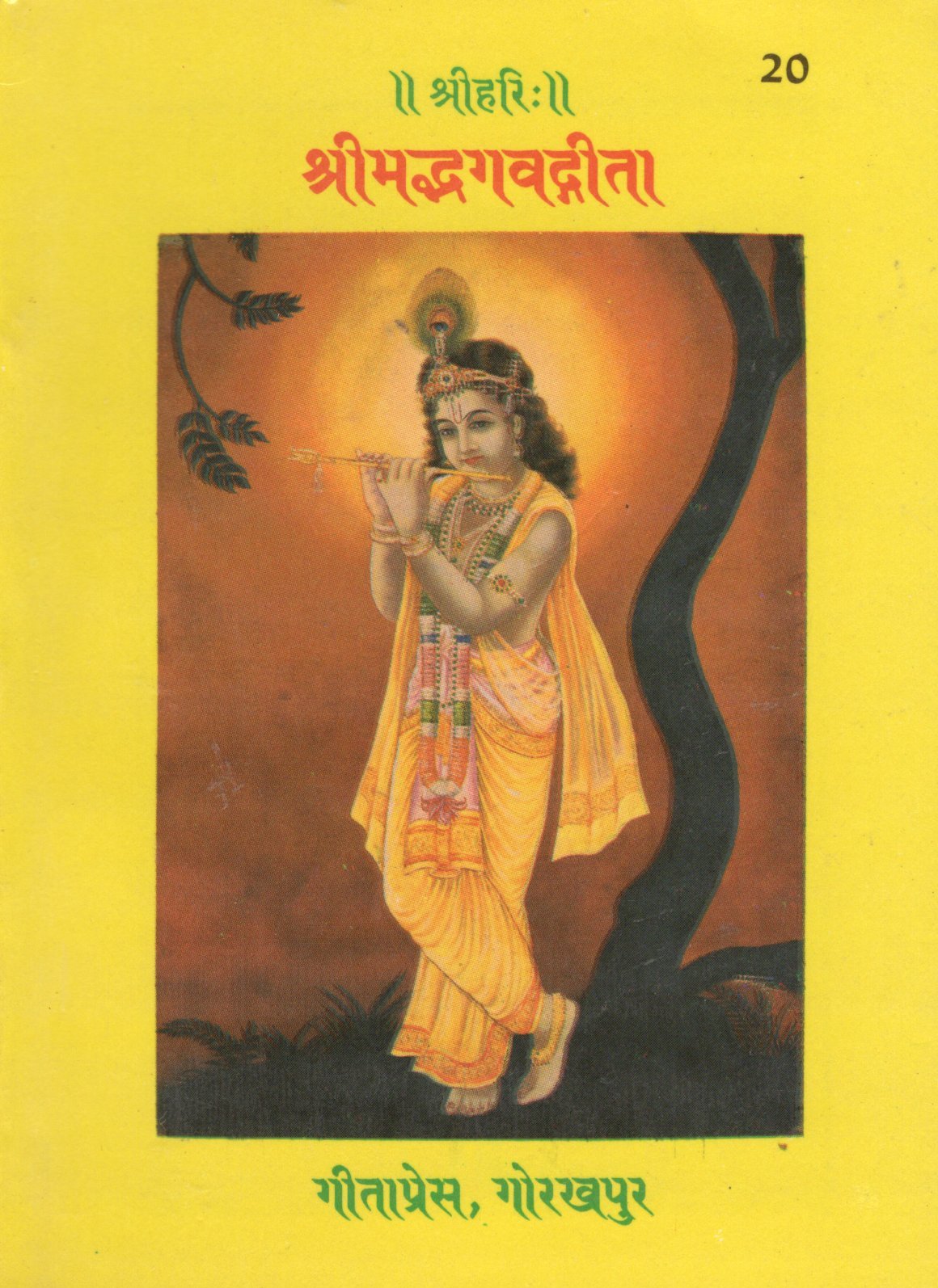 Shrimad Bhagavad Gita- (Hindi)