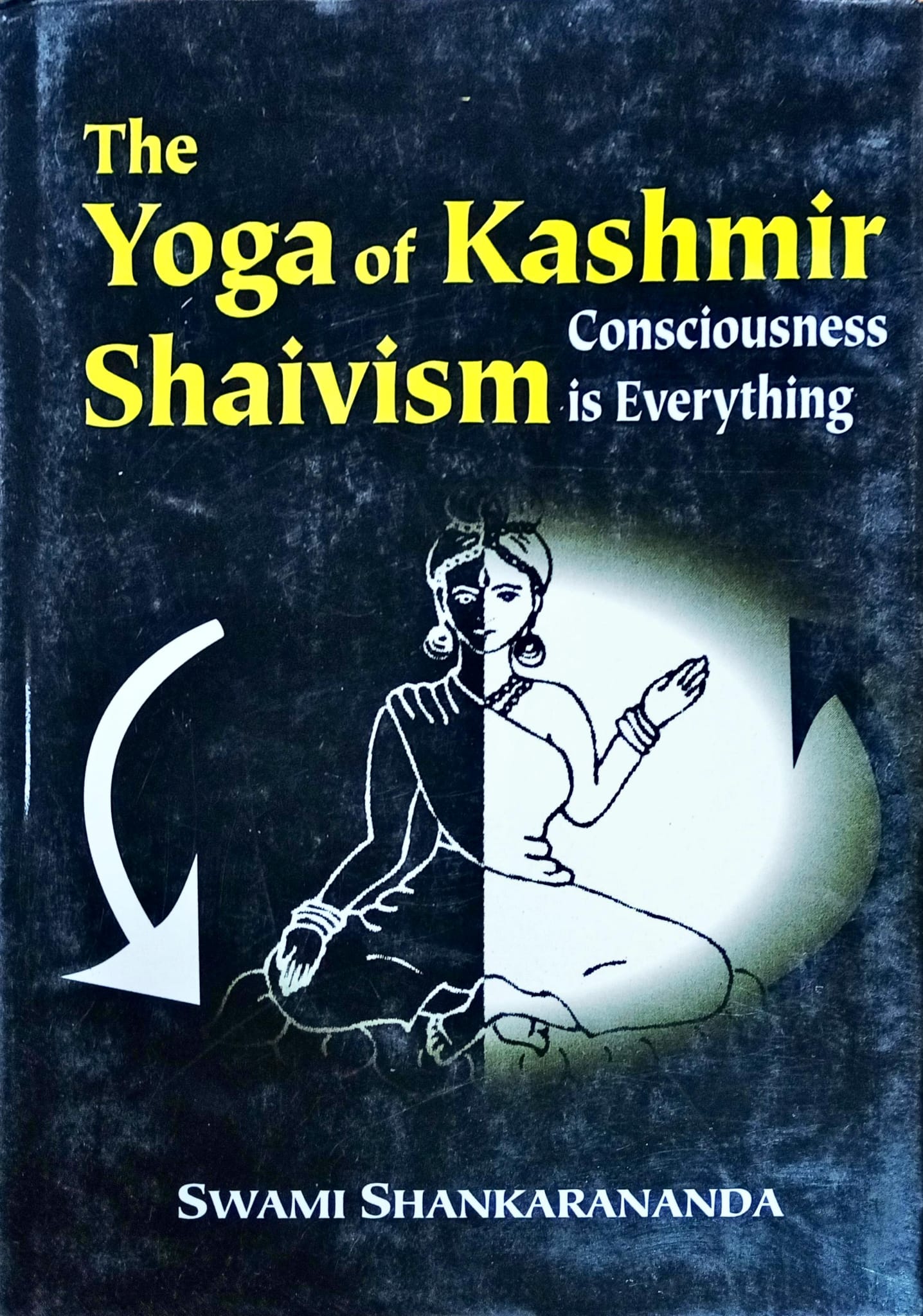 The Yoga of Kashmir Shaivism Consciousness is Everything