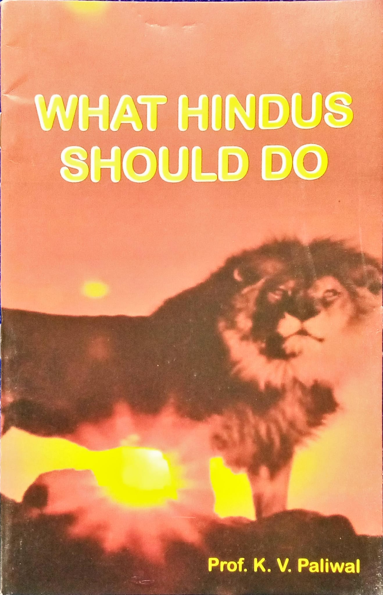 What Hindus Should do